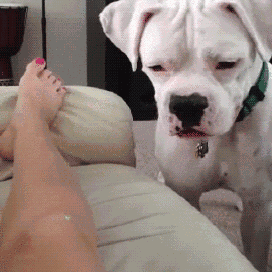 20.gif