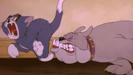 23.gif