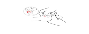 5.png