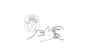 6.png